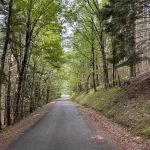 La route Barre des Cévennes vers Pont de Montvert - Roadtrip en can-am dans les Cévennes
