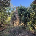 Vestige de l'histoire : ici une habitation typique des Cévennes en ruines, perchée entre Valbonne et le Castanet
