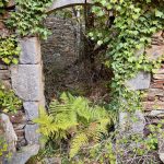 Vestige de l'histoire : ici une habitation typique des Cévennes en ruines, perchée entre Valbonne et le Castanet