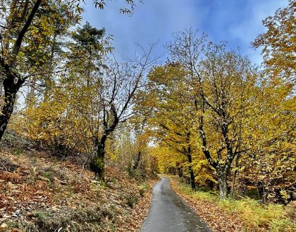 L’Automne en Cévennes : une saison magique à savourer